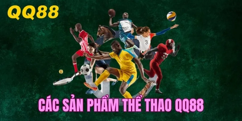 Các sản phẩm cá cược sports online được yêu thích